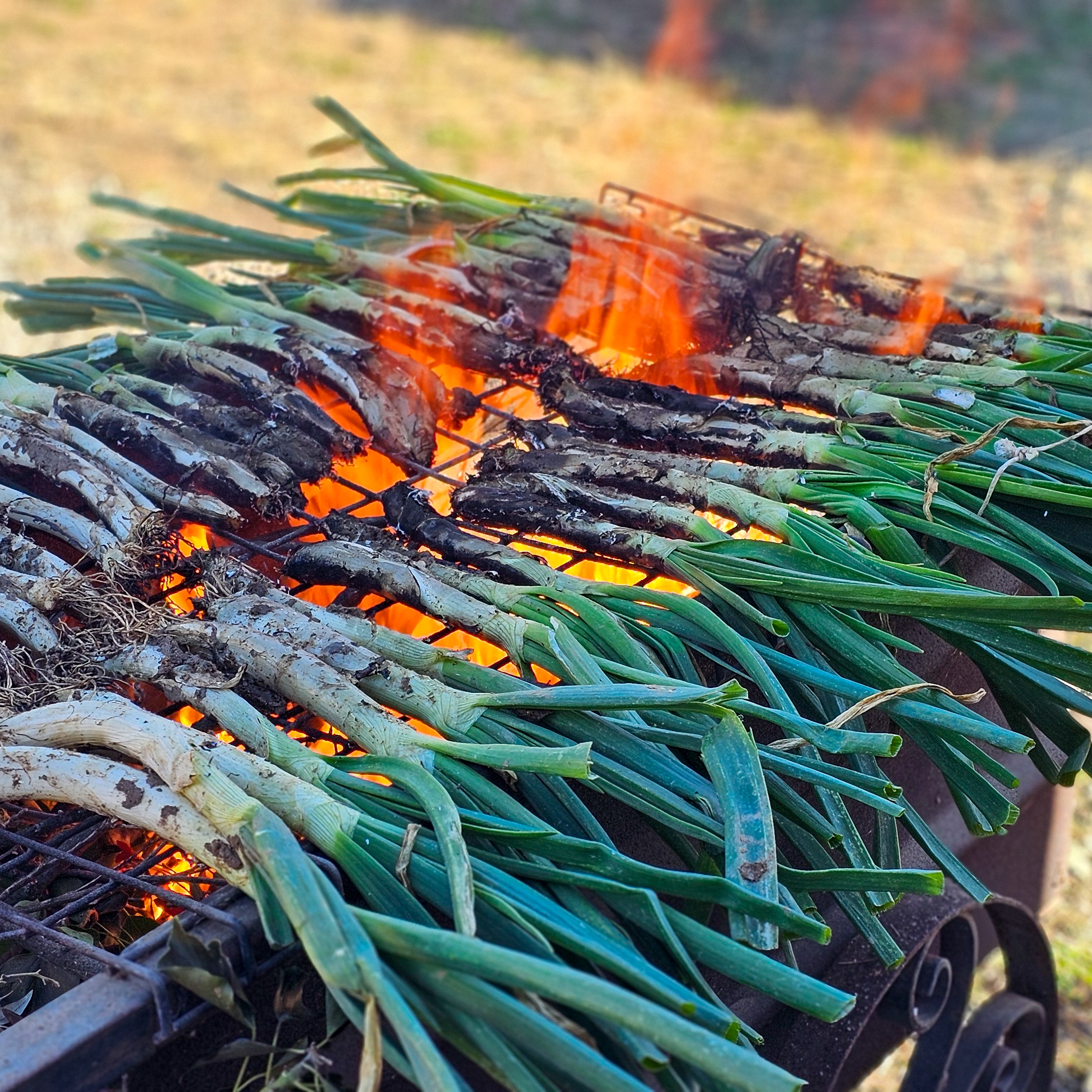 Calçotada Barcelona